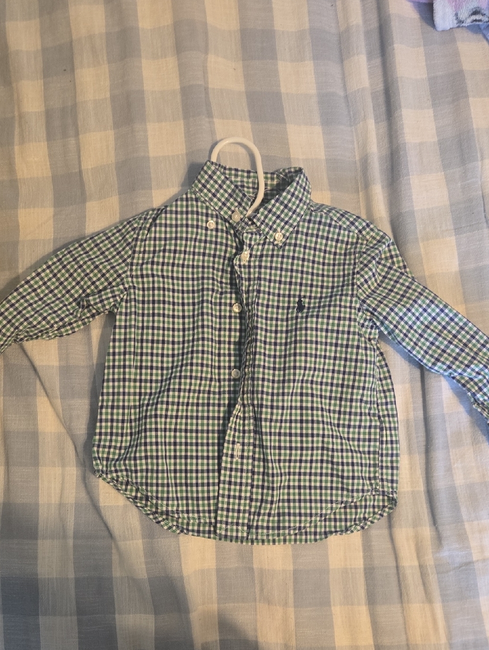 Polo by Ralph Lauren Green & Blue Plaid Button-Down Shirt